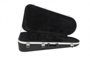 MTS  Baritone Case