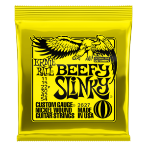 Ernie Ball Electric String Set