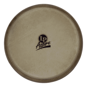 LP Aspire Conga Head