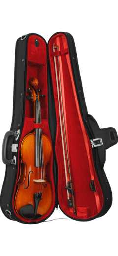 Paesold Violin Outfit