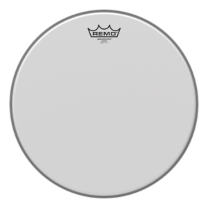 Remo Ambassador Head