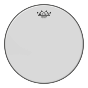 Remo Ambassador BD Head